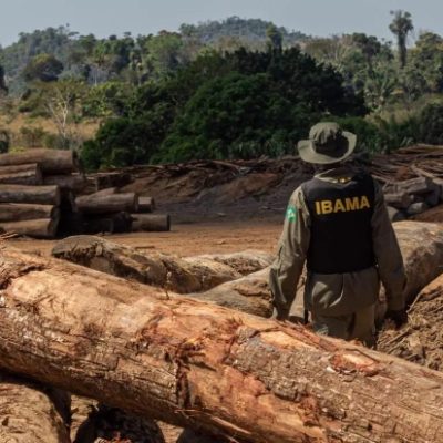 A Portaria Ibama nº 260/2023 estabelece a Taxa de Controle e Fiscalização Ambiental.