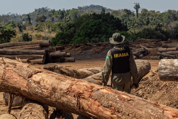 A Portaria Ibama nº 260/2023 estabelece a Taxa de Controle e Fiscalização Ambiental.