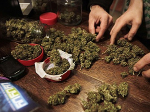 De acordo com decisão do Superior Tribunal de Justiça (STJ), o fato de haver uma grande quantidade de drogas não é suficiente para descartar a possibilidade de um crime de tráfico de drogas privilegiado.