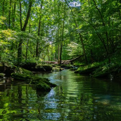 A Ordem dos Advogados do Brasil em São Paulo organizará um encontro abordando temas relacionados aos direitos humanos e às transformações climáticas.