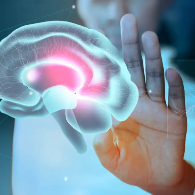 Direitos neuronais: a interseção entre o conhecimento científico e as liberdades individuais.