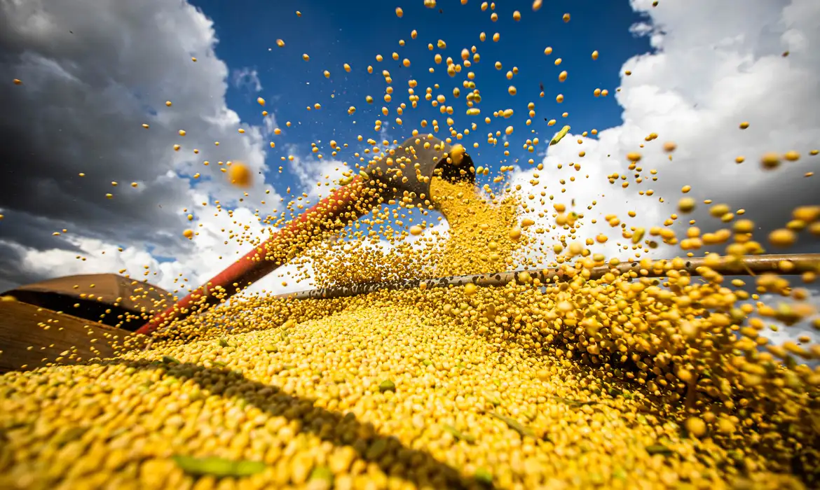 Domínio fiduciário sobre os grãos mantidos pelas empresas que comercializam produtos agrícolas.
