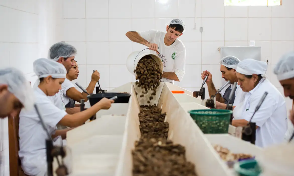 Falta de habilidades técnicas como obstáculo para a integração de novos membros nas cooperativas.