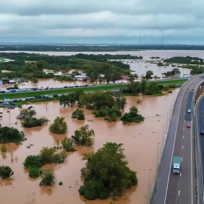 da formação do painel científico pelo governo do Rio Grande do Sul