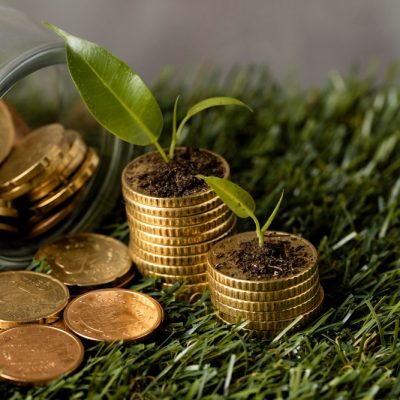 A implementação de regras para o mercado de carbono e como isso pode afetar a economia.