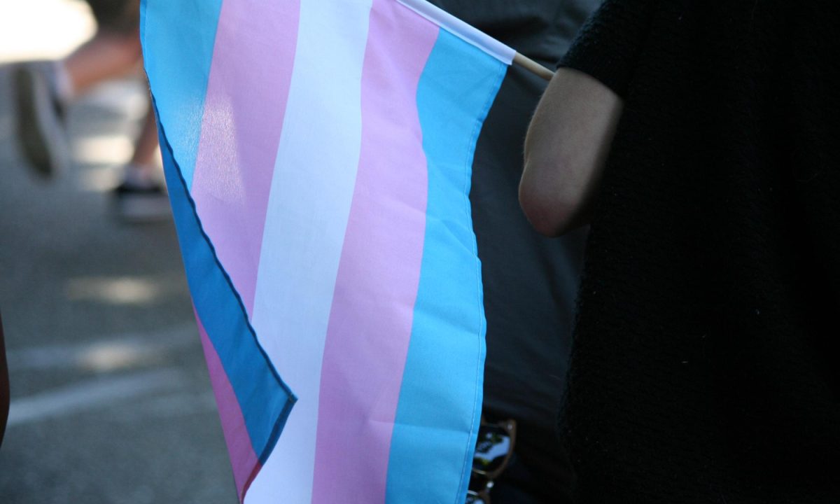 A maioria do Supremo Tribunal Federal determina que o Sistema Único de Saúde deve assegurar consultas para todas as pessoas trans.