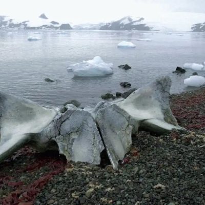 Corte Internacional de Justiça do Mar e impacto das alterações climáticas.
