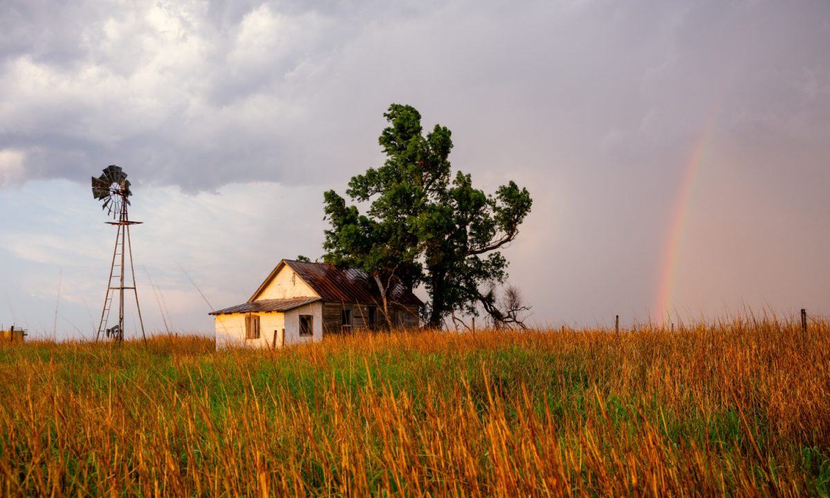 Quem deve demonstrar que a propriedade rural de pequeno porte é explorada pela família para ser considerada impenhorável?
