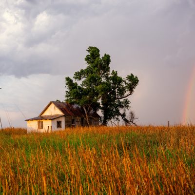 Quem deve demonstrar que a propriedade rural de pequeno porte é explorada pela família para ser considerada impenhorável?