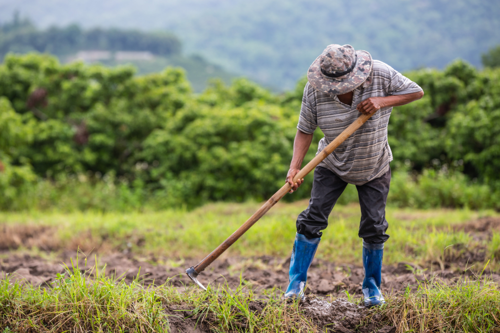 Foi publicada uma lei que autoriza a utilização do Cadastro Ambiental Rural como base para o cálculo do Imposto sobre a Propriedade Territorial Rural.
