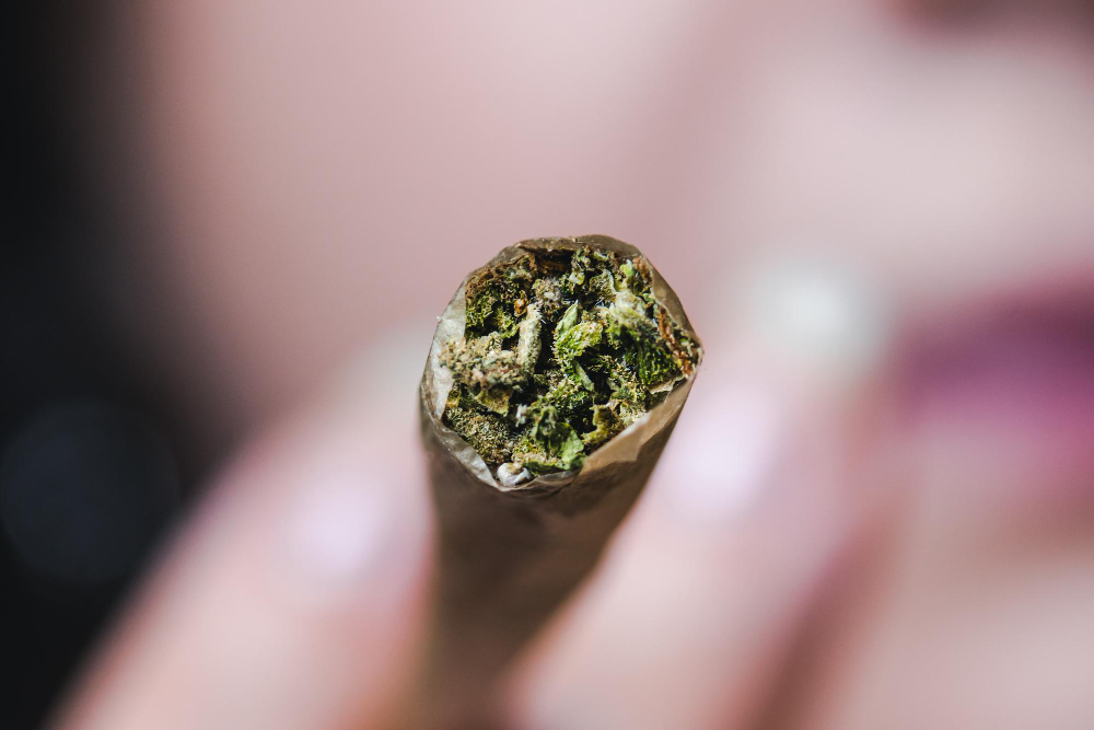 Posse de cannabis para consumo pessoal durante investigação de conduta ilegal.