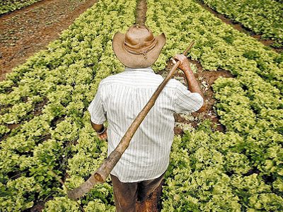 A ausência de comunicação prévia de rescisão resulta na prorrogação do contrato de arrendamento.