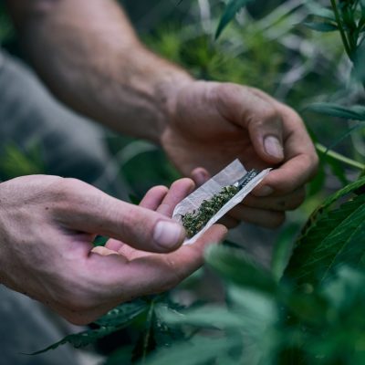 STJ rejeita acusação de tráfico e absolve usuário de maconha